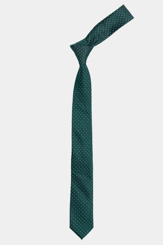 Cavani Boys Green Spot Tie Set