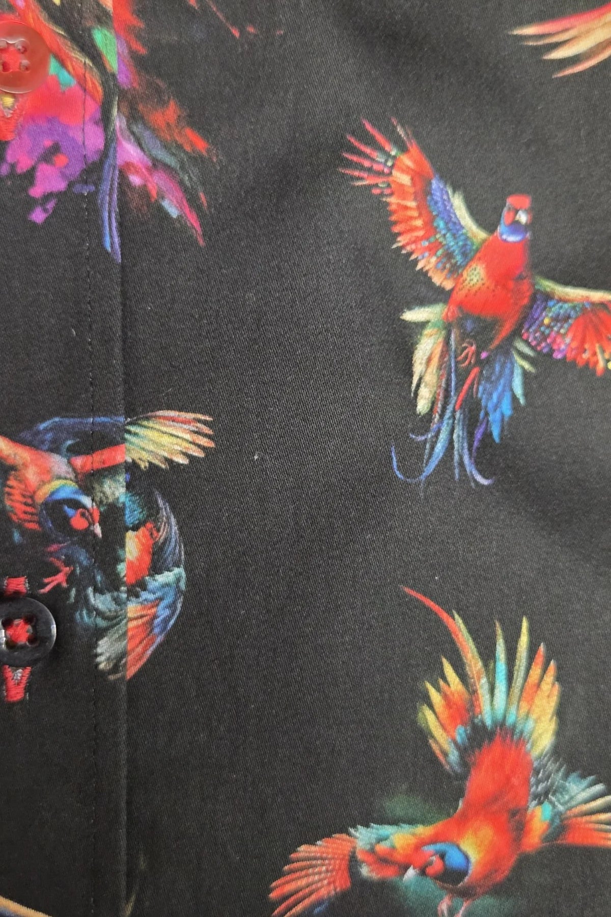 Claudio Lugli Watercolour Pheasant Print Men's Shirt