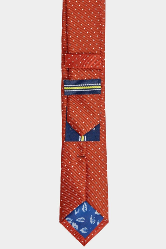 Cavani Boys Orange Spot Tie Set