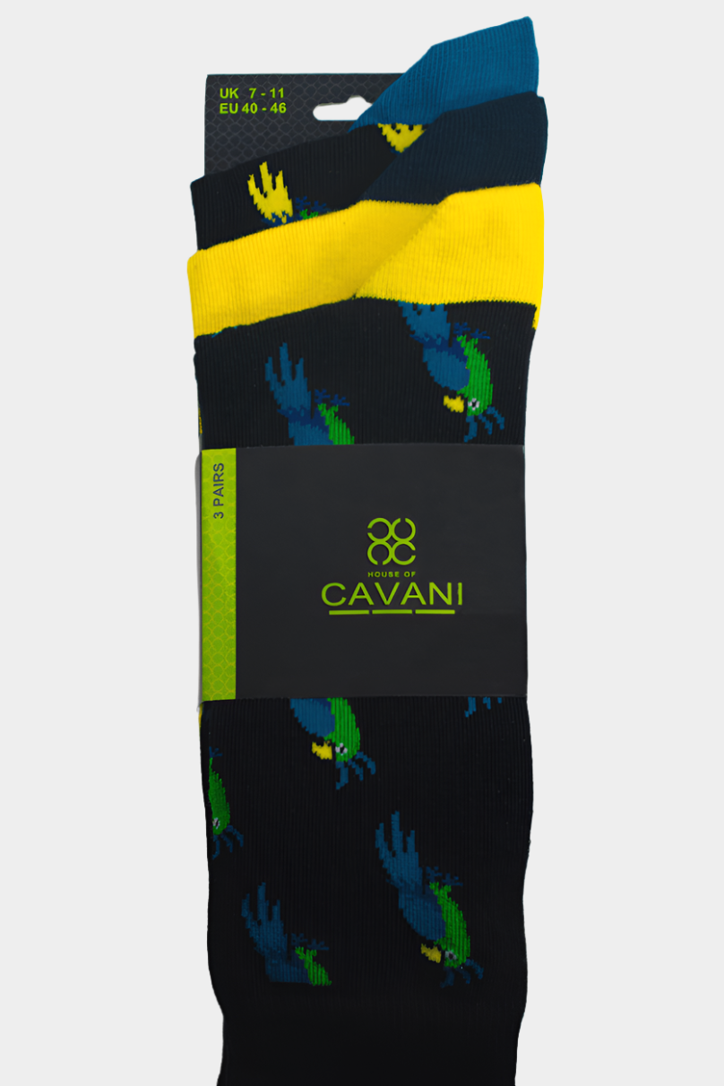 CAVANI RONAN 3-PACK MEN'S DRESS SOCKS