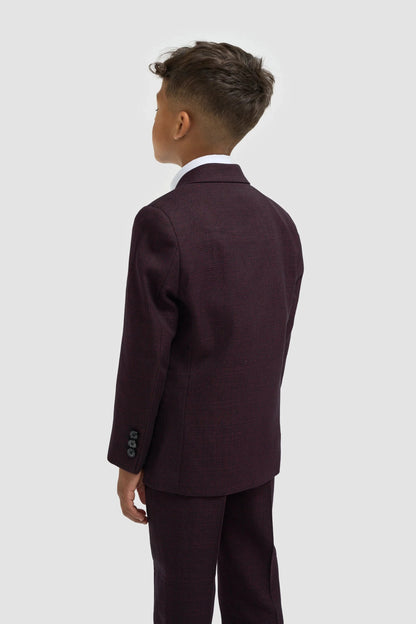 Cavani Caridi Wine Boys 3-Piece Suit