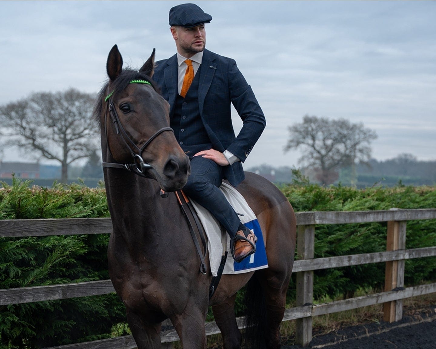 Man in equestrian attire sitting on a horse in a field with a wooden fence and trees in the background.